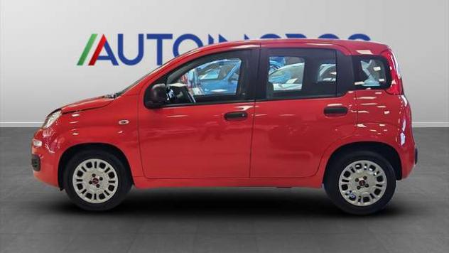 FIAT Panda 1.0 FireFly Hybrid - Foto 3