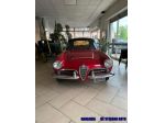 ALFA ROMEO Spider 1.6 osso di seppa rif. 23609814