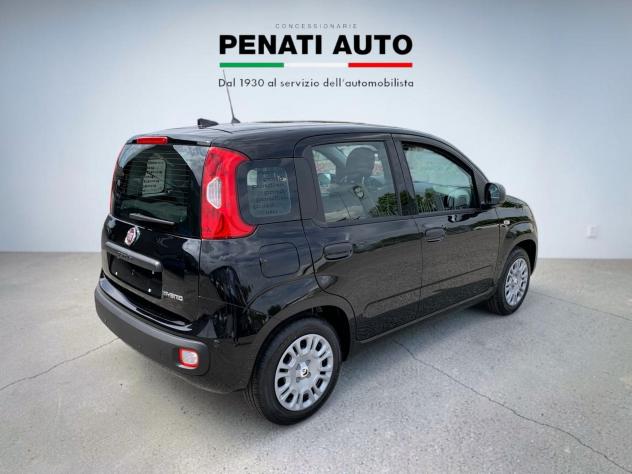 FIAT Pandina 1.0 FireFly 65cv S&S 6m Hybrid Icon - Foto 8