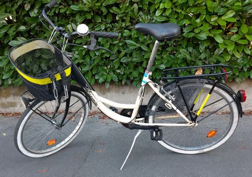 City bike tipo Olanda 24 con cestino
