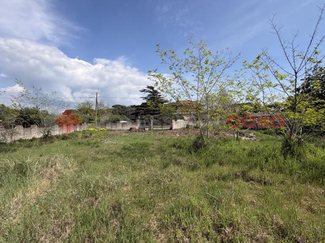 Terreno Agricolo - Terracina . Rif.: Cod. rif 3308552VRG - Foto 11