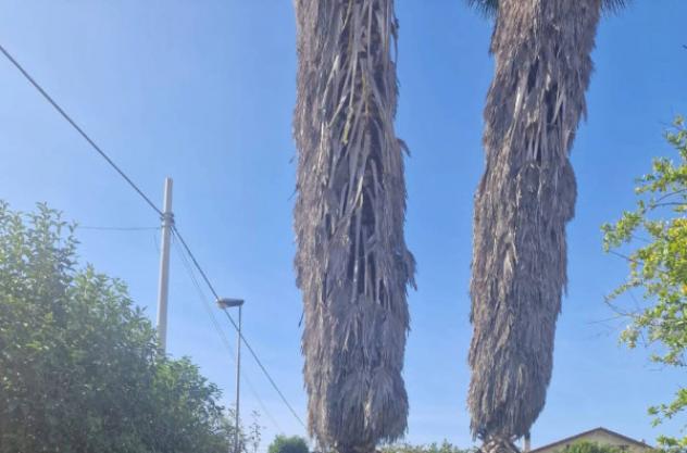 Immobile in asta di 246 m² in vendita a Nettuno - Foto 4
