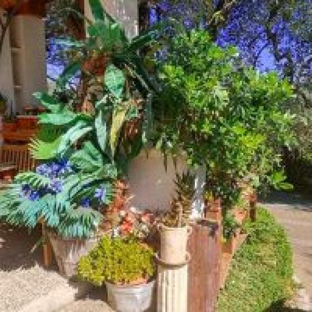 Agriturismo De Simio