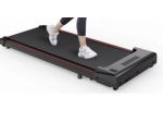 2 Panche Pesi Adidas e Rovera+2 Tapis Roulant