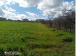 Agricolo in vendita a Fossacesia