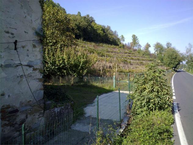 Colonica in vendita a Buti 489 mq Rif: 804922 - Foto 9