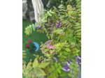 Appartamento in vendita a Empoli 75 mq  Rif: 1422005