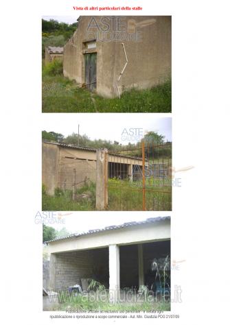 IMMOBILI-IMPIANTO SPORTIVO-Contrada Scarante Colla - Foto 3