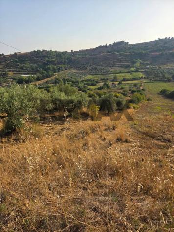 Terreno in vendita a Caltagirone - Foto 7