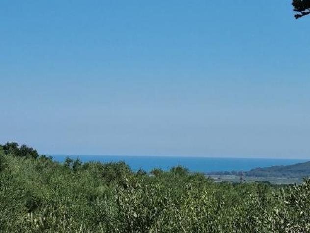 Seminativo in vendita a Santa Maria Imbaro - Foto 7