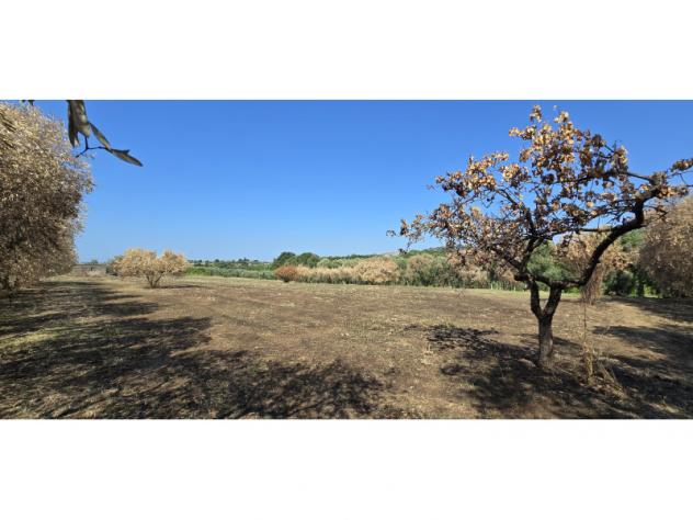 Agricolo in Via Cinelli - Foto 7
