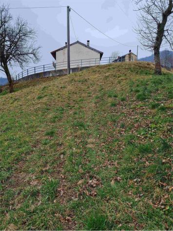 2239/2025 4 BG - Fabbricato rurale con stalla e fienile + terreni agricoli e boschivi - Foto 4
