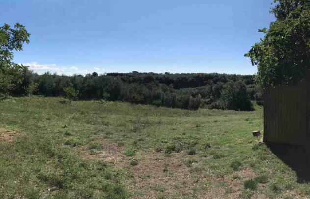 TERRENO AGRICOLO di 17000 mq (SORANO) rif. TERR.COL. - Foto 2