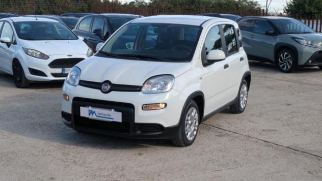 FIAT Panda 1.0Hybrid Firefly 70cv rif. 24182298