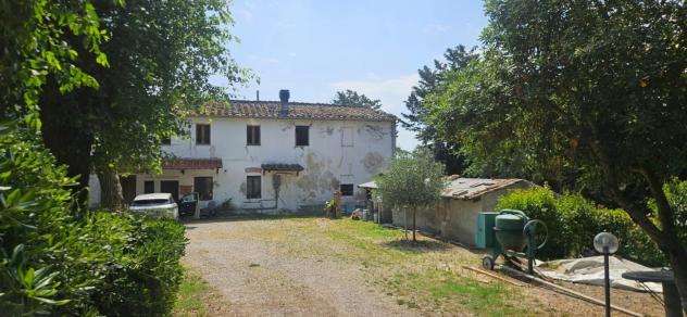 Azienda agricola in vendita a Terricciola 1000 mq Rif: 1427123 - Foto 9