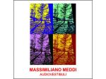 MASSIMILIANO MEDDI - AUDIOVESTIBULI (s.i.a.e. 2022)