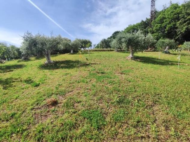 Area verde in vendita a Fonte Nuova - Foto 16