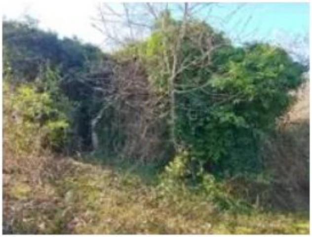 Immobile in asta di 10407 m² con più di 5 locali in vendita a Fossombrone - Foto 4