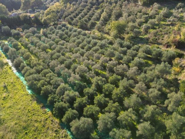Agricolo in Via Provinciale - Foto 9