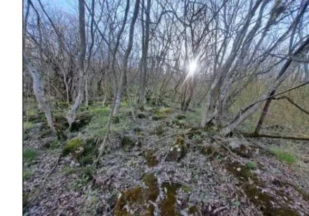 Immobile in asta di 6903 m² in vendita a Rovereto - Foto 5