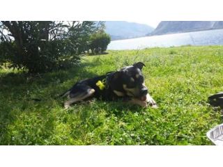 BARRETT, dolcissimo mix corso
