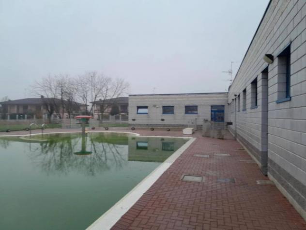 Immobile in asta di 3835 m² in vendita a Pinarolo Po - Foto 7