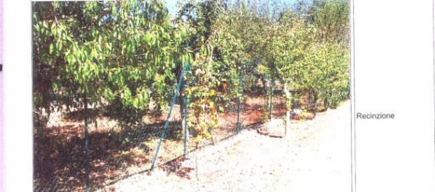 Immobile in asta di 161 m² in vendita a Velletri - Foto 5
