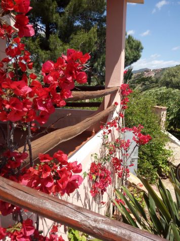 Villa 500 m.dal mare - Foto 4