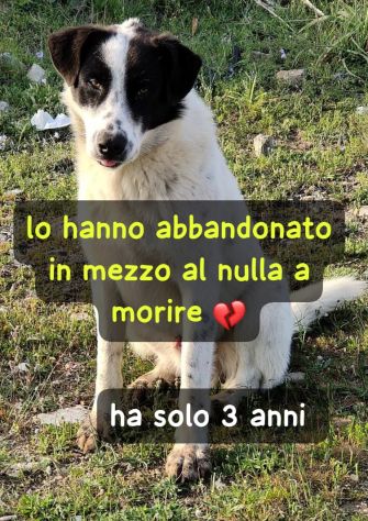 SNOOPY 3 ANNI TAGLIA GRANDE