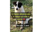 SNOOPY 3 ANNI TAGLIA GRANDE