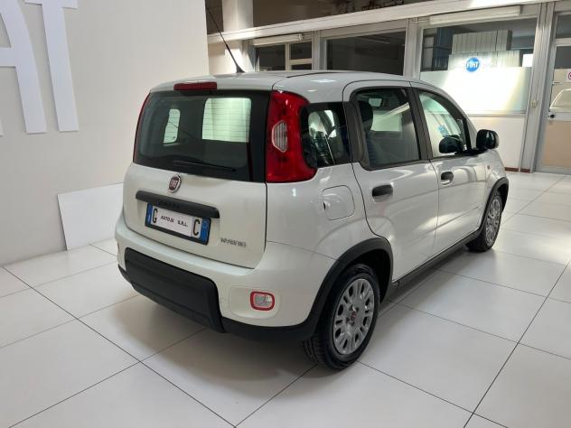FIAT Panda 1.0 FireFly 70cv S&S Hybrid - Foto 5