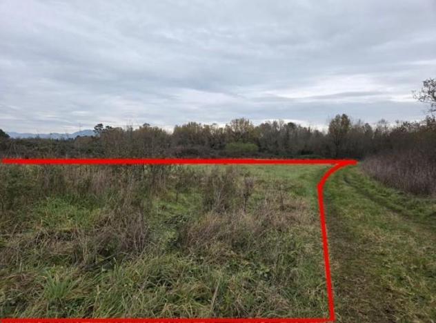 Terreno agricolo in vendita a Orentano - Castelfranco di Sotto 5000 mq Rif: 1383545 - Foto 7