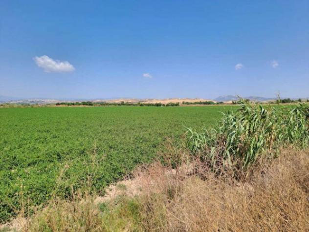 Immobile in asta di 19410 m² in vendita a Crotone - Foto 4