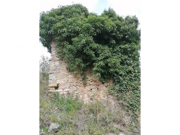 Agricolo in Contrada Puglisi - Foto 5