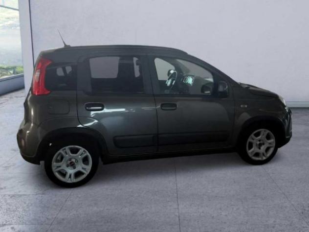 FIAT Panda 3ª serie - 1.0 FireFly S&S Hybrid Red rif. 24185242 - Foto 5