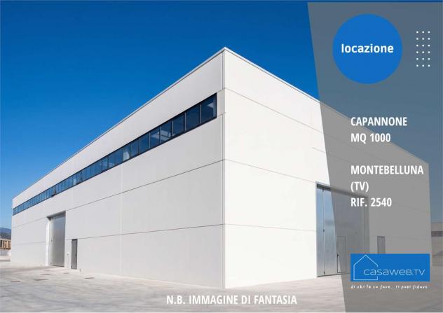 2540 - Capannone 1000 mq Montebelluna (TV) Rif. 2540 - Foto 4