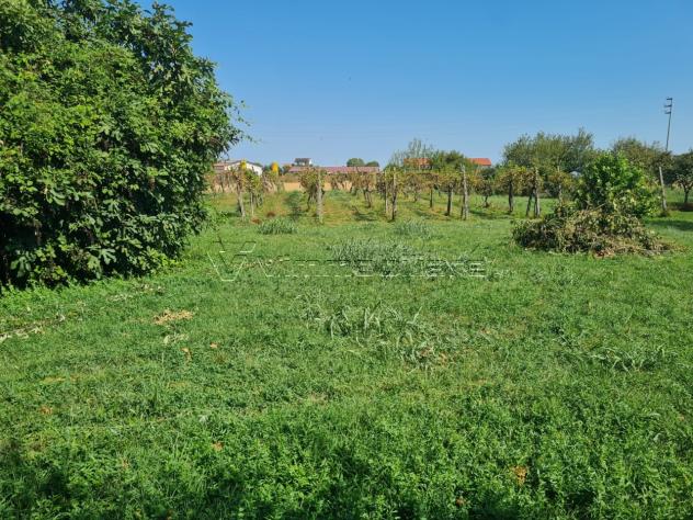Rustico in vendita a Agugliaro - Foto 11