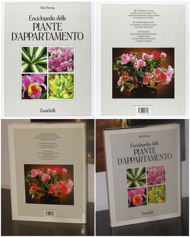 Enciclopedia delle PIANTE D'APPARTAMENTO, Rob Herwig, Zanichelli 1987. - Foto 7