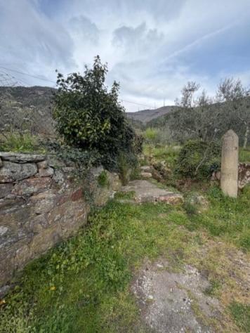Terreno agricolo in vendita a Castelmaggiore - Calci 1500 mq Rif: 1205664 - Foto 10