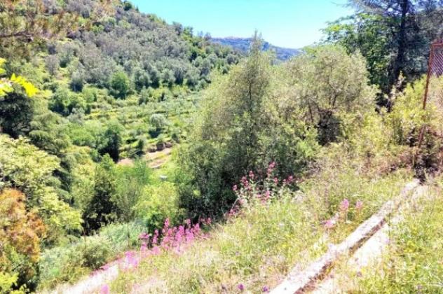 Immobile in asta di 21000 m² in vendita a Pietrabruna - Foto 6
