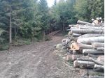 100 ettari bosco Ex malga