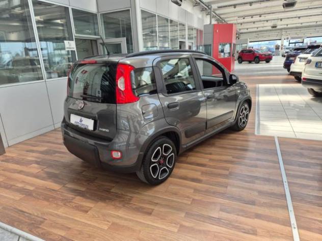 FIAT Panda 1.0 FireFly S&S Hybrid City Life rif. 23918125 - Foto 4
