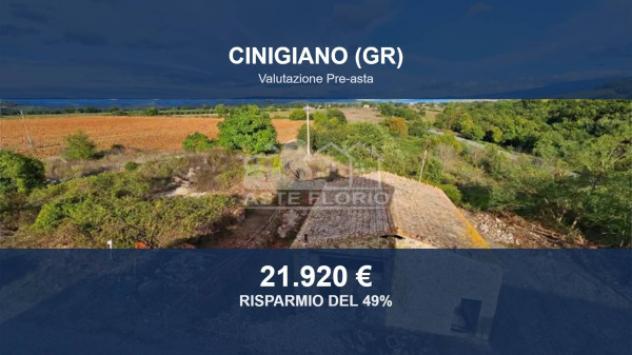 Immobile in asta di 103183 m² in vendita a Cinigiano