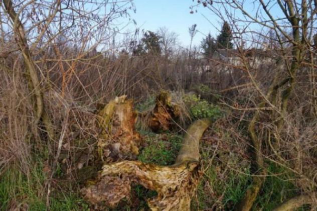 Immobile in asta di 3090 m² in vendita a Gazzuolo - Foto 3