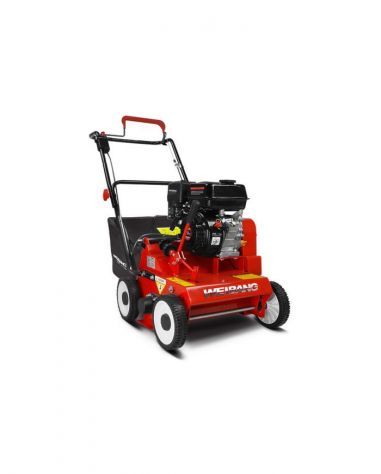 ARIEGGIATORE WEIBANG WB384RC