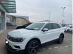 VOLKSWAGEN Tiguan 2.0 TDI SCR DSG HIGLINE BlueMotion Technology rif. 24077809
