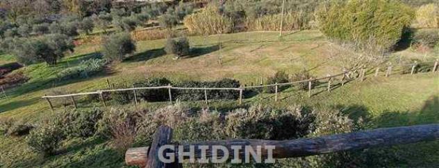 VILLA di 66 vani e di 200 mq (CAMPAGNATICO) rif. 2532.68M - Foto 9