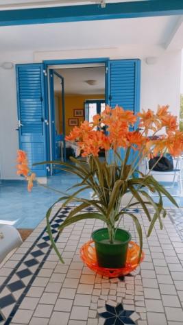 Avola, villa in affitto per brevi periodi
