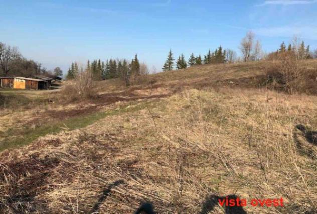 Immobile in asta di 560 m² in vendita a Gazzola - Foto 2