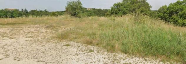 Immobile in asta di 20435 m² in vendita a Ripatransone - Foto 3